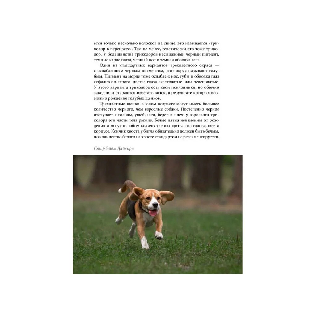 Книга DOG-ПРОФИ "Бигль" Н. Ришина