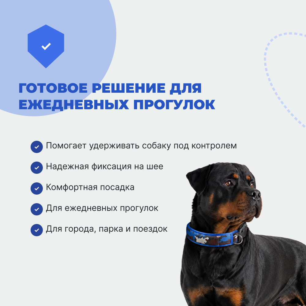 Ошейник и поводок для собак FOXIE Strong L разноцветные