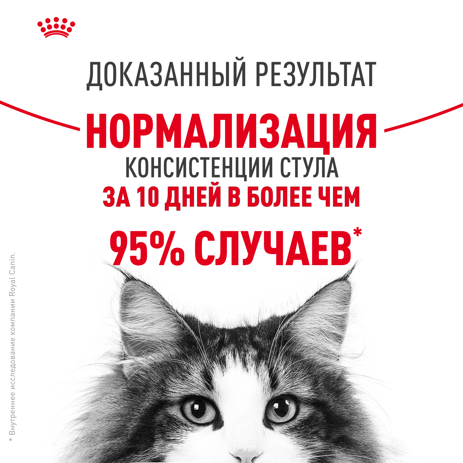 Корм для кошек ROYAL CANIN Digestive Care для здоровья пищеварительной системы (соус) пауч