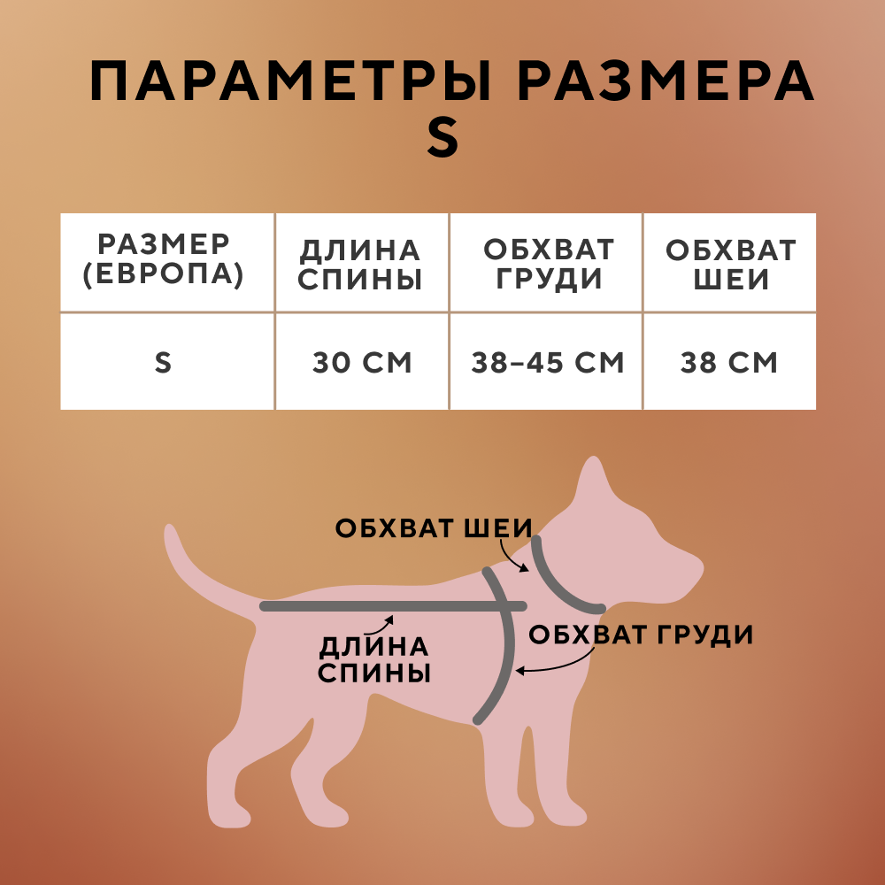Свитер для собак FOXIE Scenery разноцветный