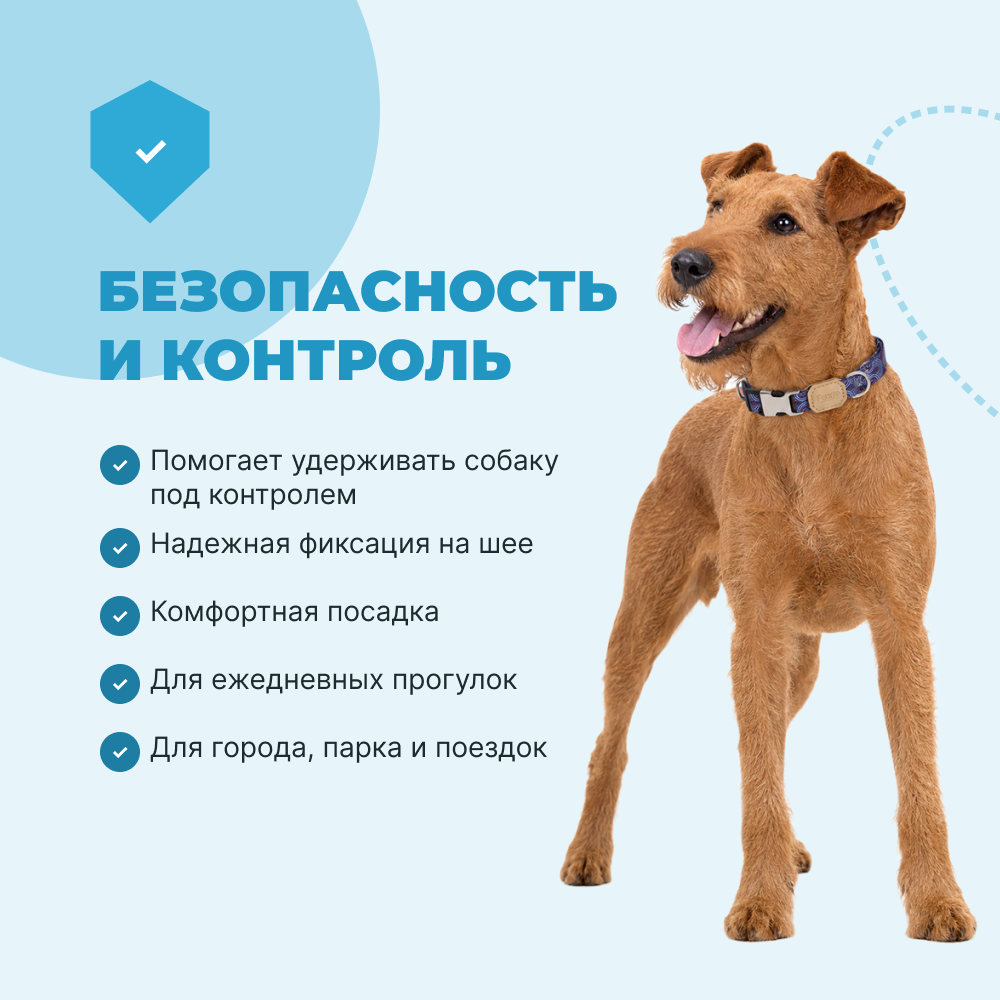 Ошейник для собак FOXIE Splashes S 1,5х30-45см голубой