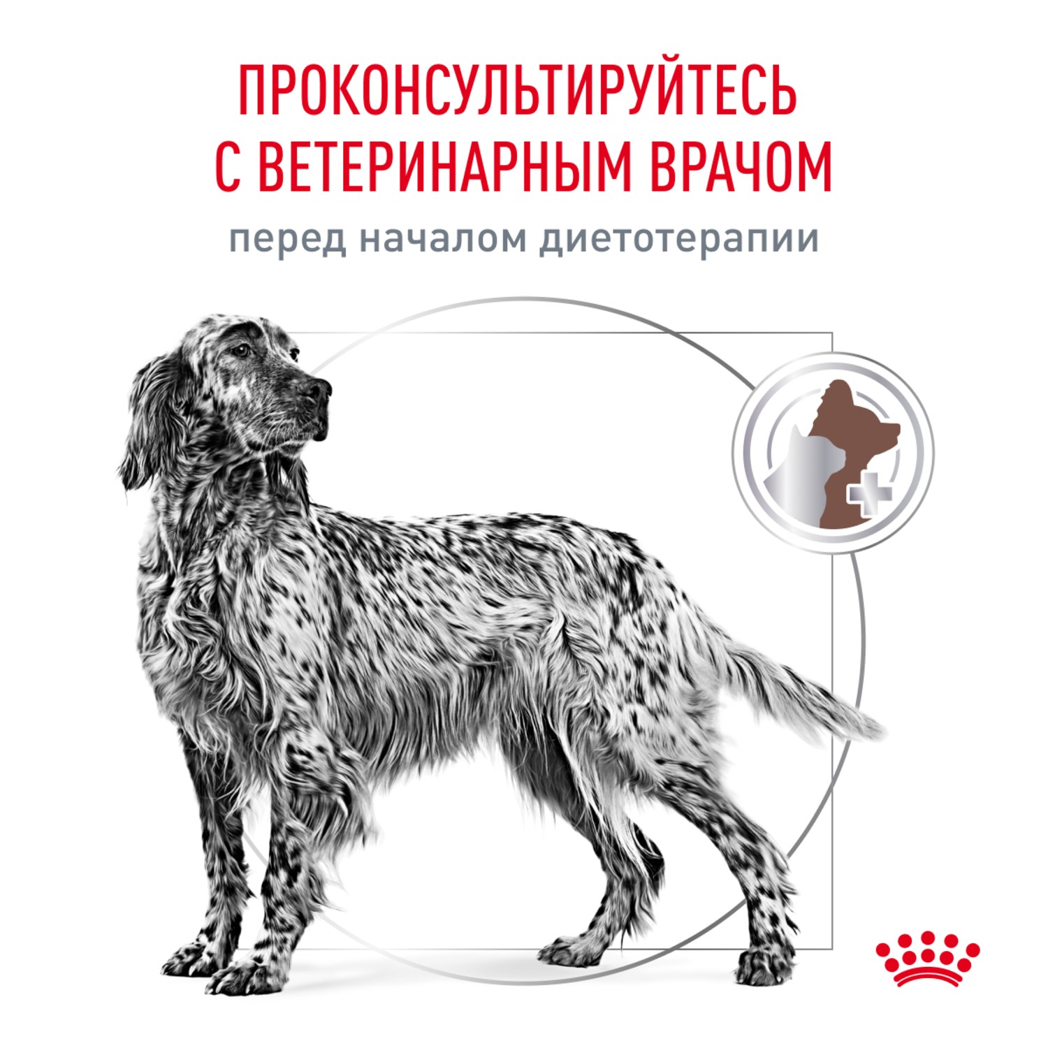 Корм для собак ROYAL CANIN Gastrointestinal при расстройствах пищеварения сух.
