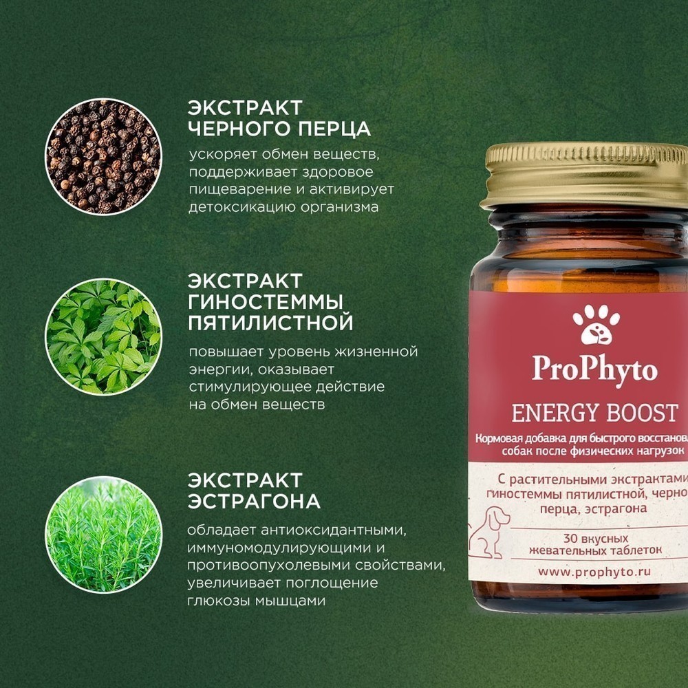 Витамины для собак Prophyto Энерджи Буст, 30 таб.