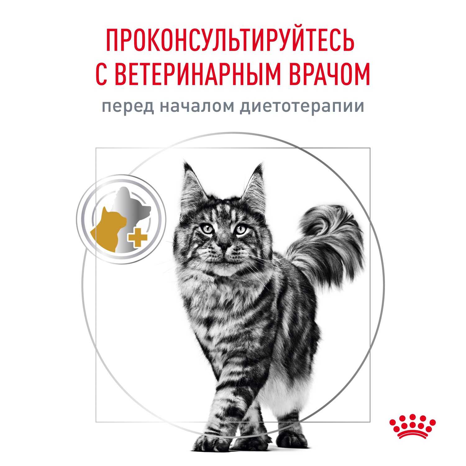 Корм для кошек ROYAL CANIN Vet Diet Urinary S/O при мочекаменной болезни, цыпленок (соус) пауч