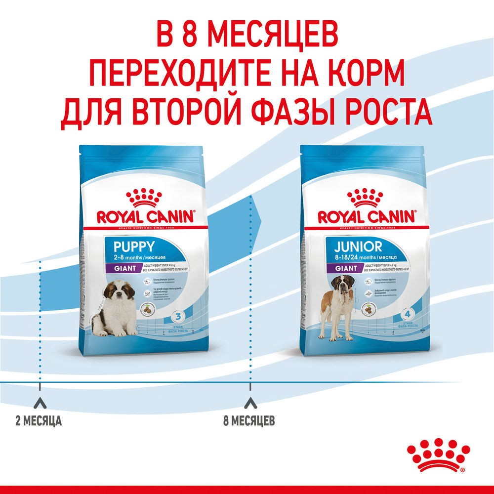 Корм для щенков ROYAL CANIN Giant Puppy для гигантских пород до 8 месяцев сух.