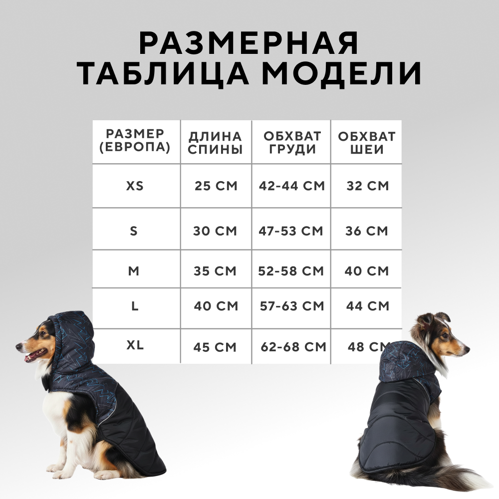 Попона для собак FOXIE Bright sparks серая