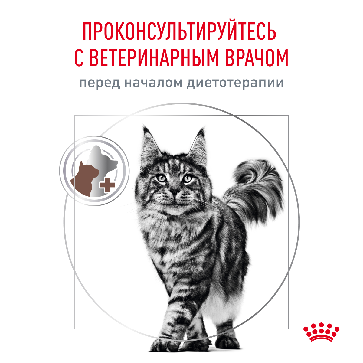 Корм для кошек ROYAL CANIN Gastrointestinal Hairball для проф.образ.волосяных комочков сух.