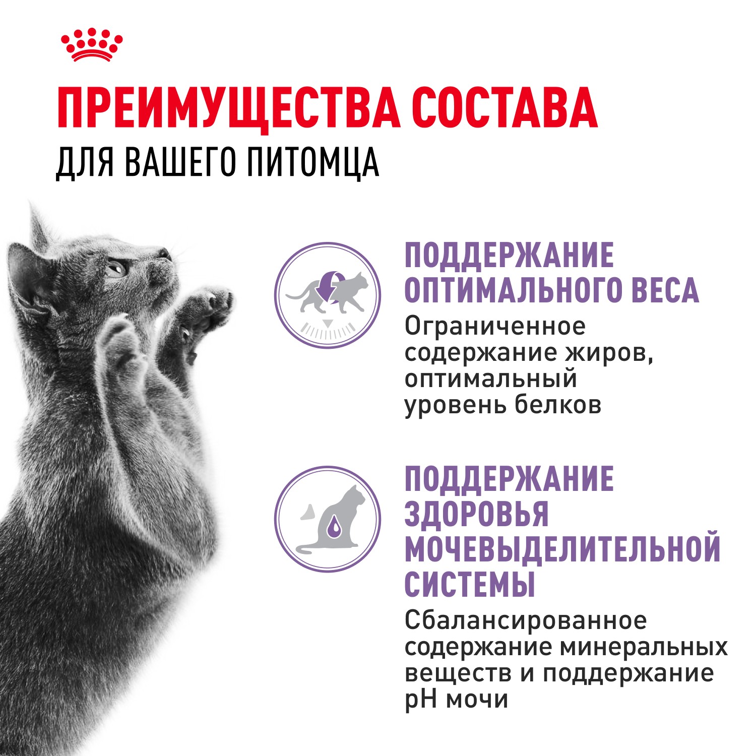 Корм для кошек ROYAL CANIN Sterilised для стерилизованных, мясо в соусе пауч
