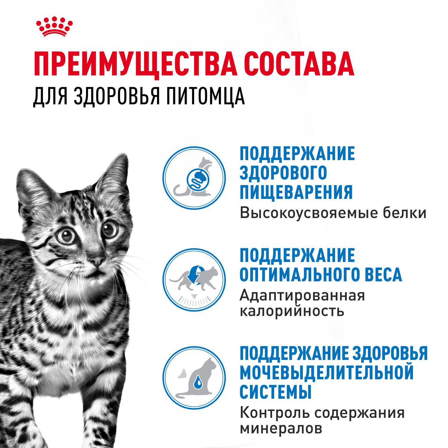 Корм для кошек ROYAL CANIN Indoor Sterilised для кастр. и стерил. живущих в помещ., паштет пауч