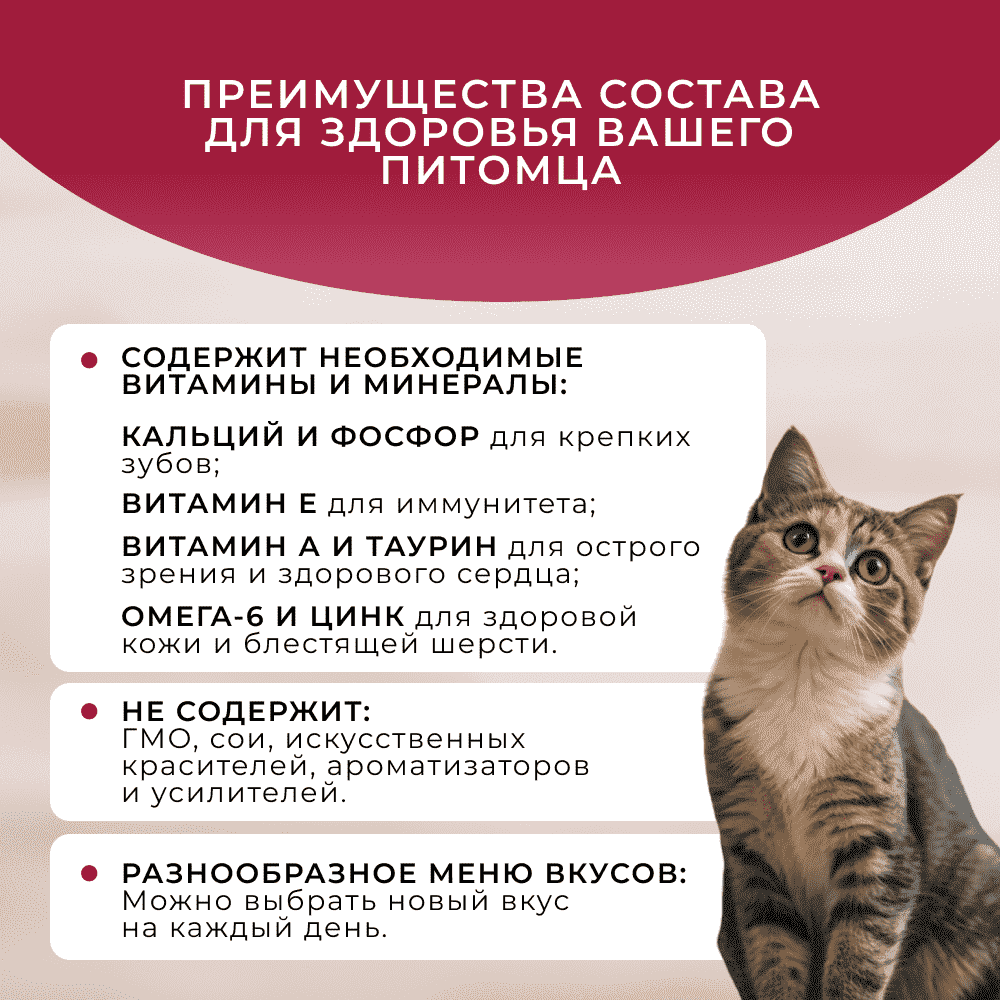 Корм для кошек ОБЖОРКА кусочки в соусе с говядиной пауч