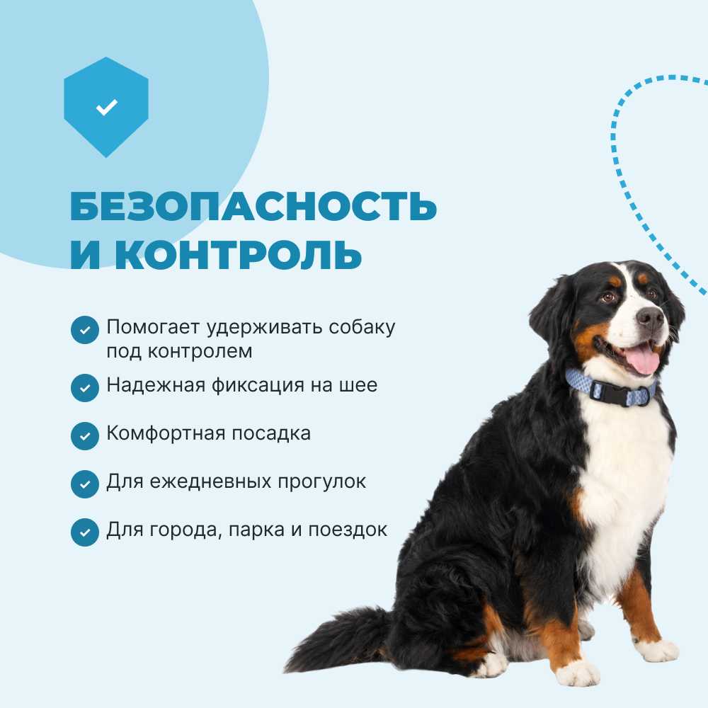 Ошейник для собак FOXIE Fish L 2,5х45-70см голубой