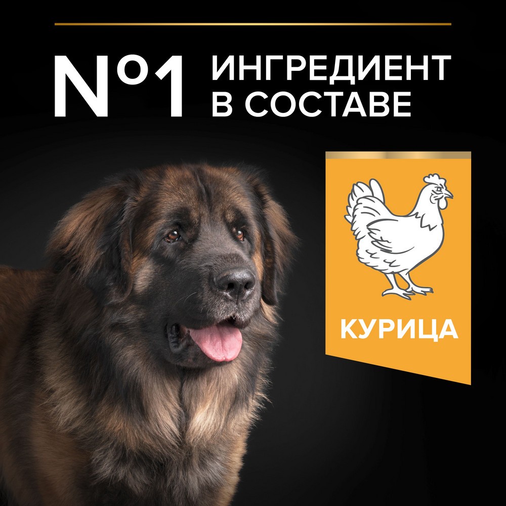 Корм для собак PRO PLAN Everyday Nutrition для крупных пород с мощным телослож., курица сух.