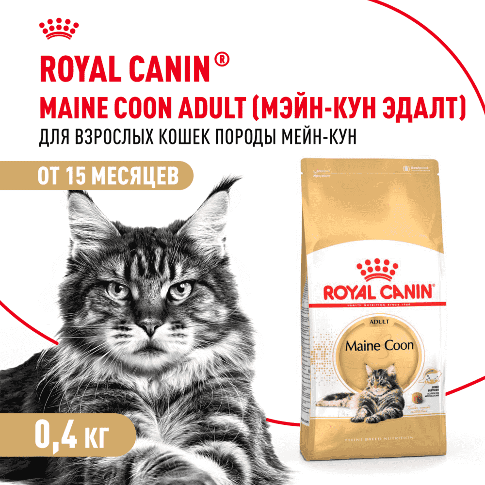 Корм для кошек ROYAL CANIN Maine Coon сбалансированный для породы мэйн кун сух.
