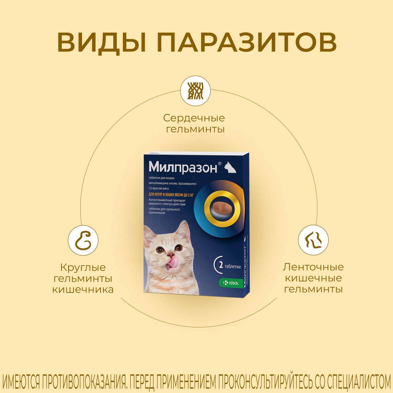 Антигельминтик для котят и кошек KRKA Милпразон, 2 таблетки