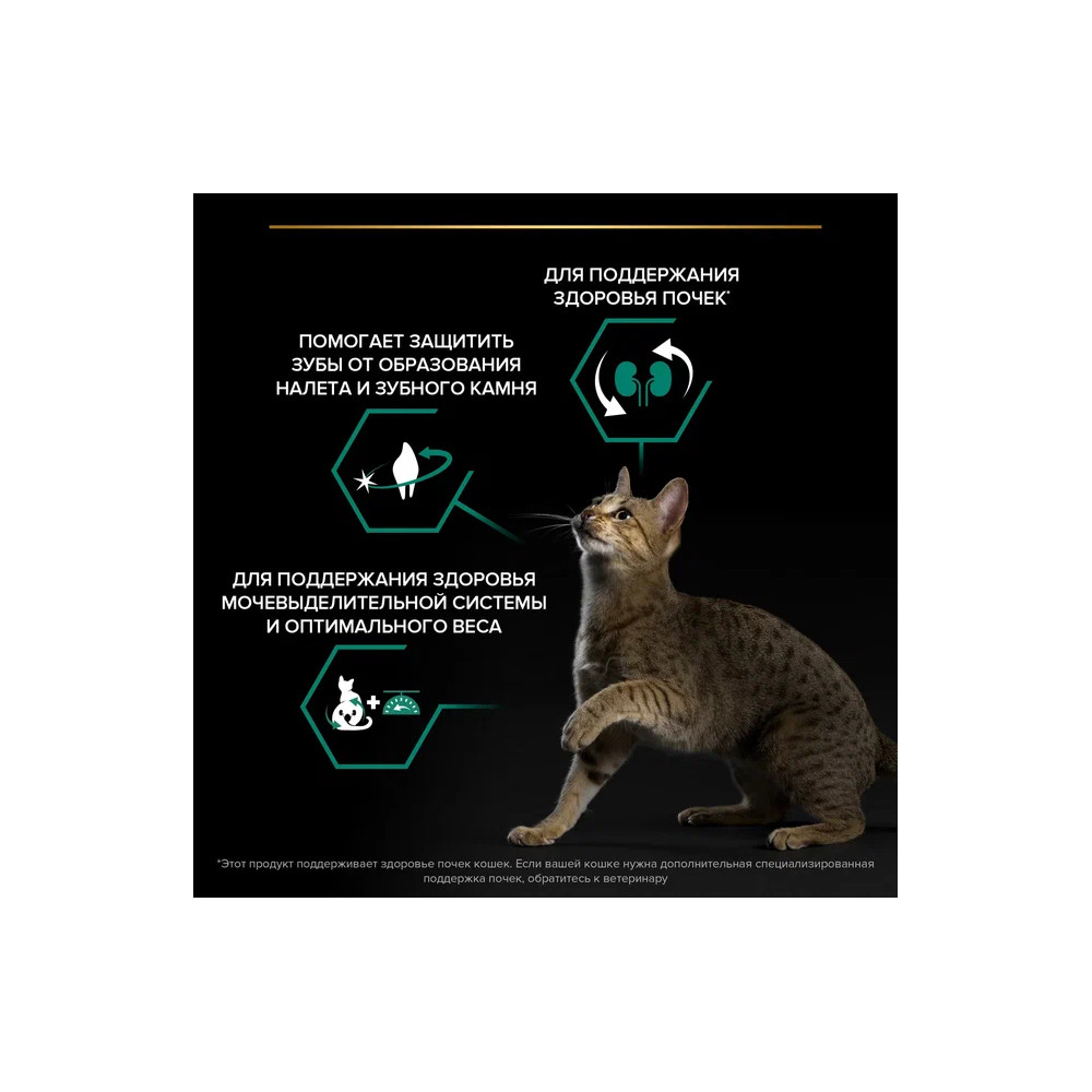Корм для кошек PRO PLAN Sterilised Renal Plus для стерилизованных, индейка сух. 400г+200г ПРОМО