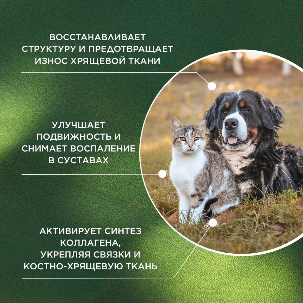 Витамины для кошек и собак PROPHYTO Артро Защита, 100таб