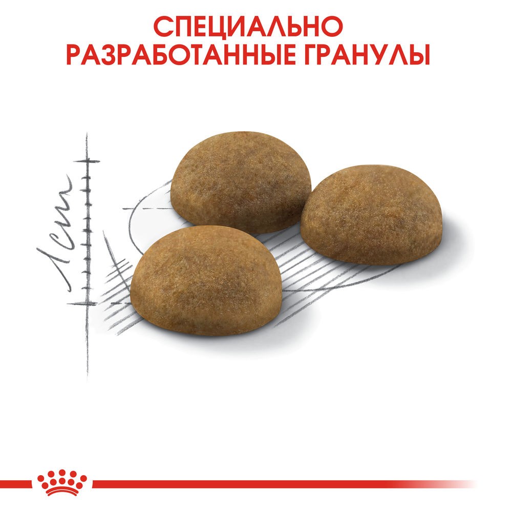 Корм для кошек ROYAL CANIN Indoor Long Hair для длинношерстных живущих в помещении сух.