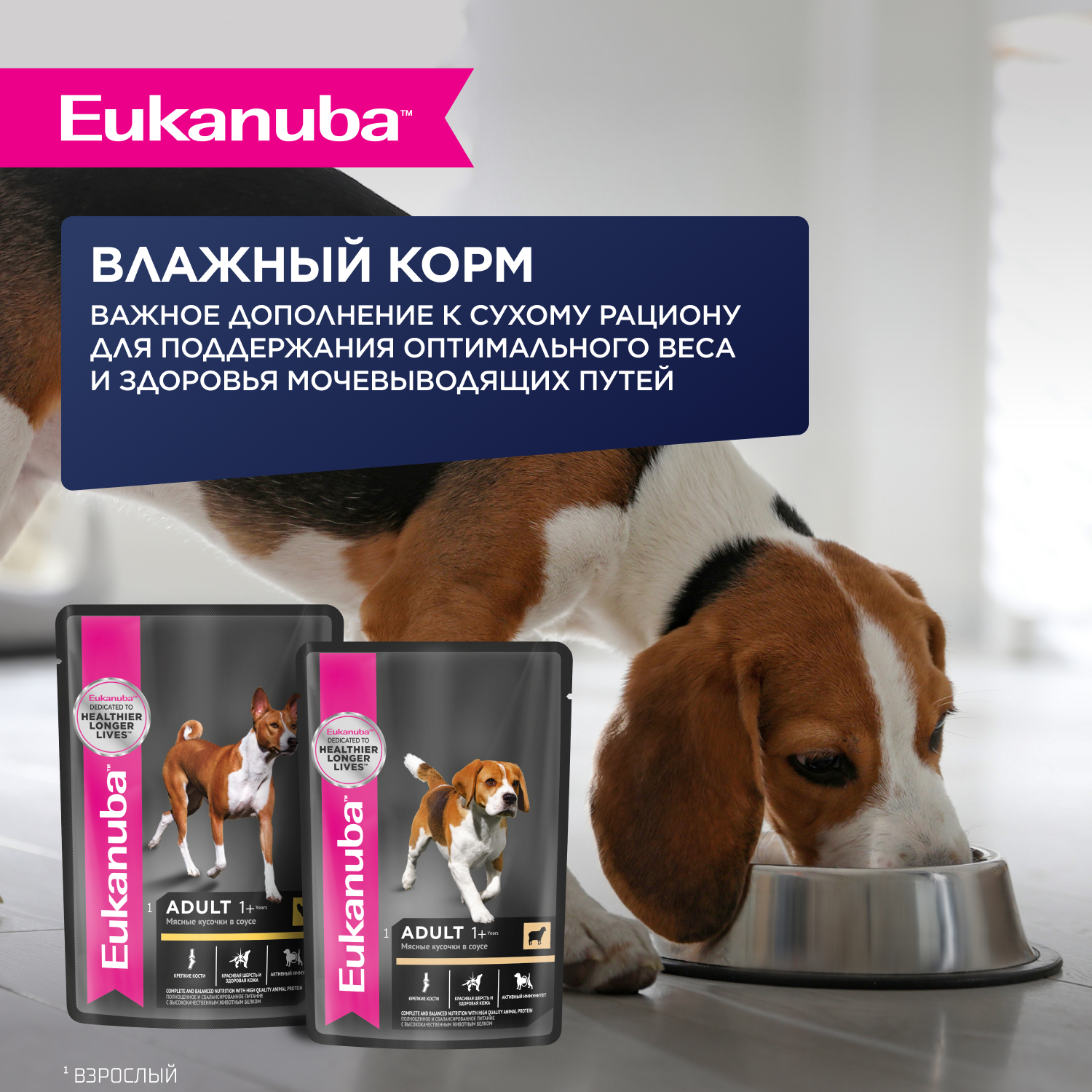 Корм для собак EUKANUBA для крупных и очень крупных пород, ягненок сух.