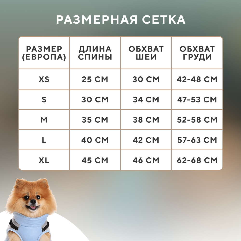 Куртка со шлейкой для собак FOXIE Snowstorm голубая