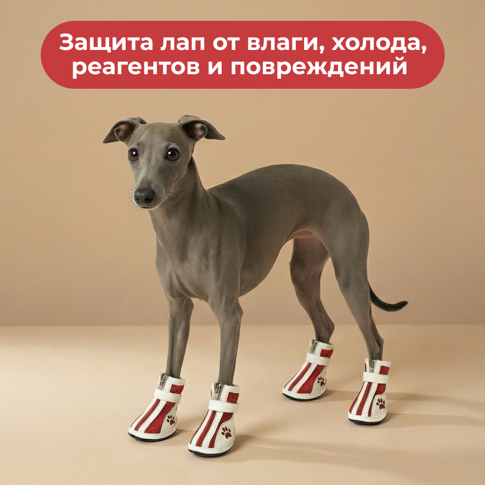 Ботинки для собак FOXIE Paws L 6х4,3см красные