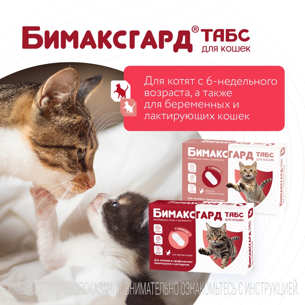 Антигельминтик для котят и маленьких кошек NEOTERICA Бимаксгард ТАБС, 2 таб.(0,5-2кг)