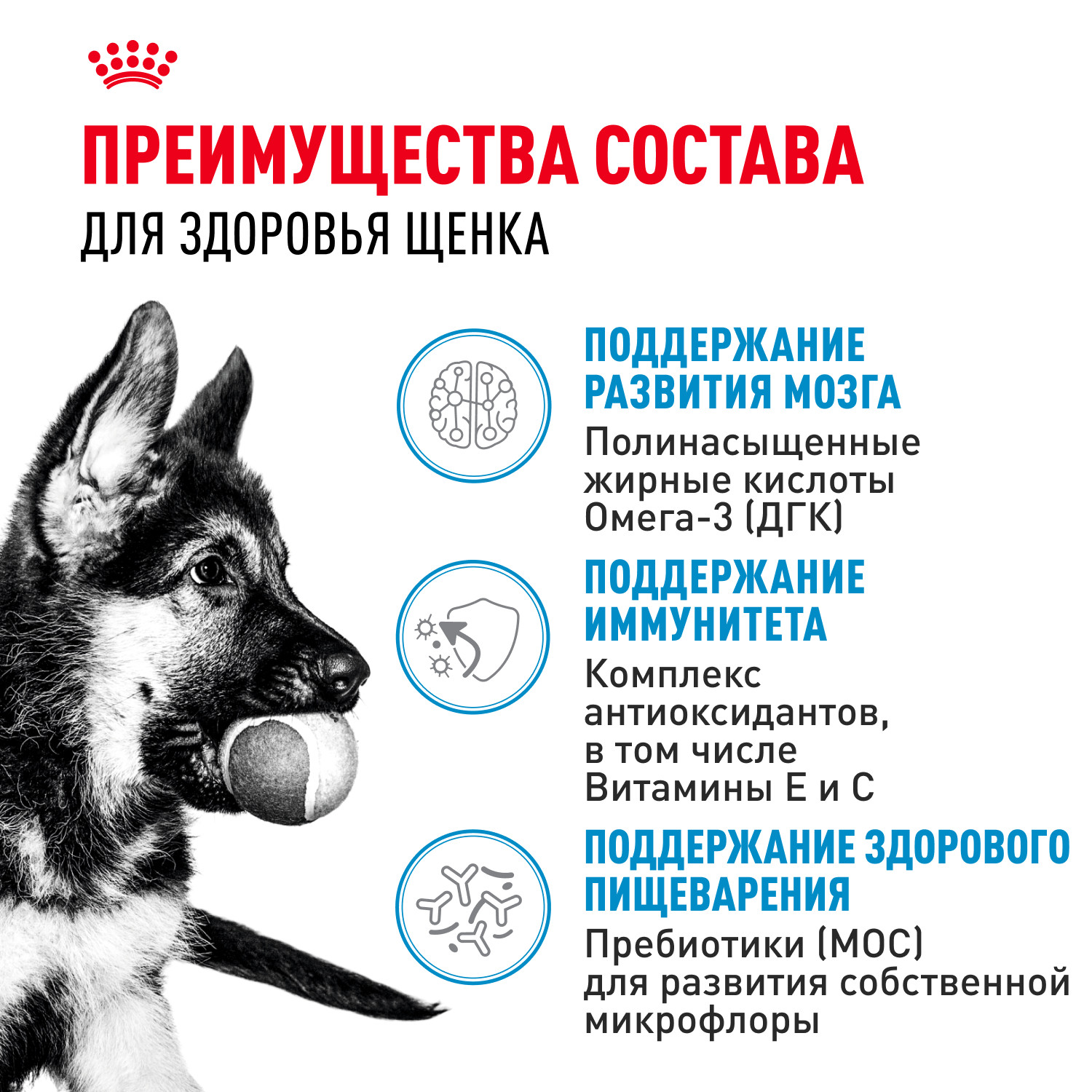 Корм для щенков ROYAL CANIN для крупных пород до 15 месяцев пауч