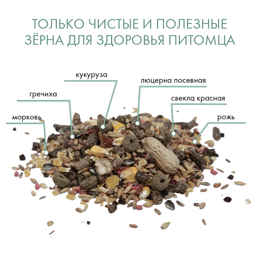 Корм для грызунов FIORY RATTY смесь для крыс сух.