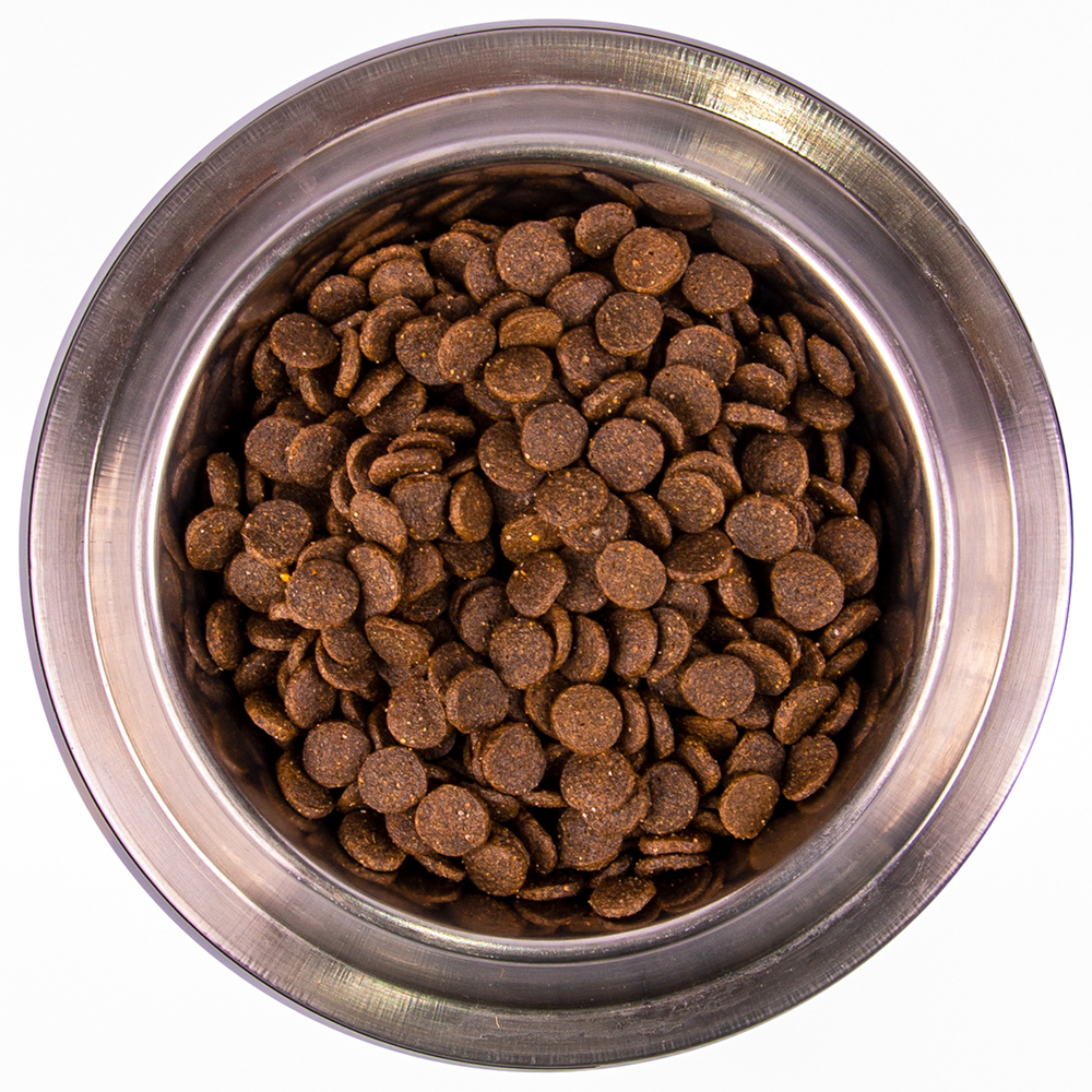 Корм для щенков MONGE Dog Speciality Puppy&Junior лосось с рисом сух.