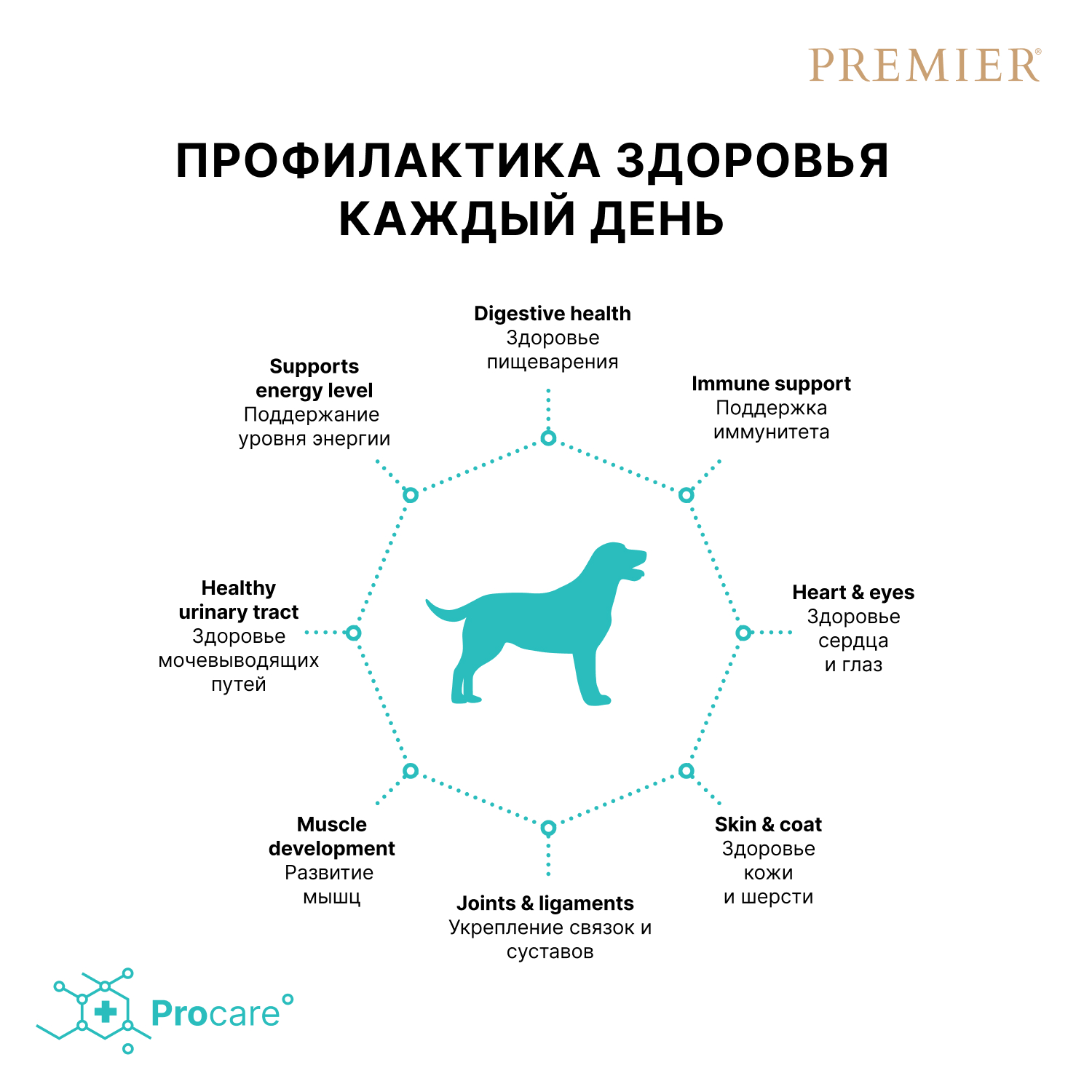 Корм для собак PREMIER Dog для средний пород, свежее мясо индейки сух.