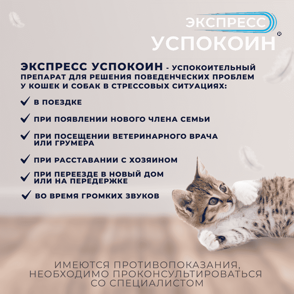 Таблетки для кошек ЭКСПРЕСС УСПОКОИН коррекция поведения 6шт
