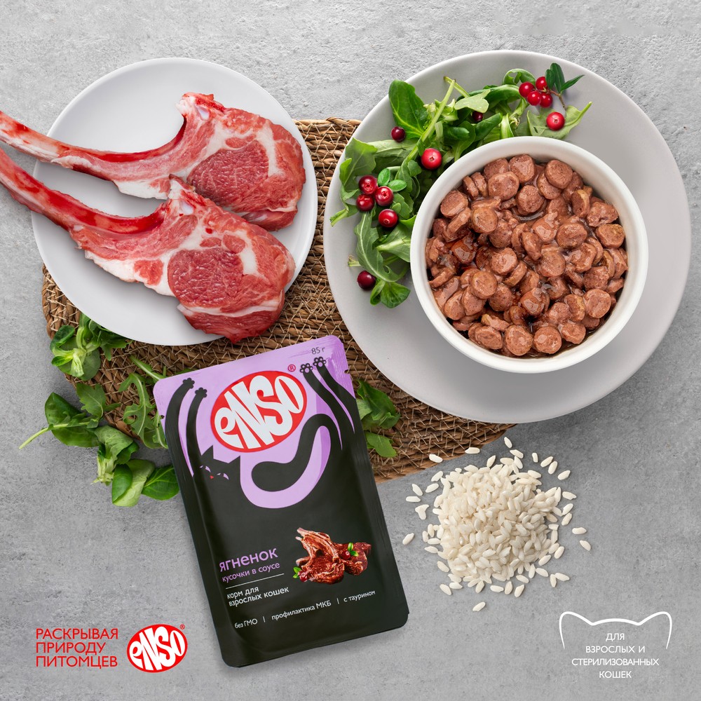 Корм для кошек ENSO кусочки в соусе с ягненком пауч
