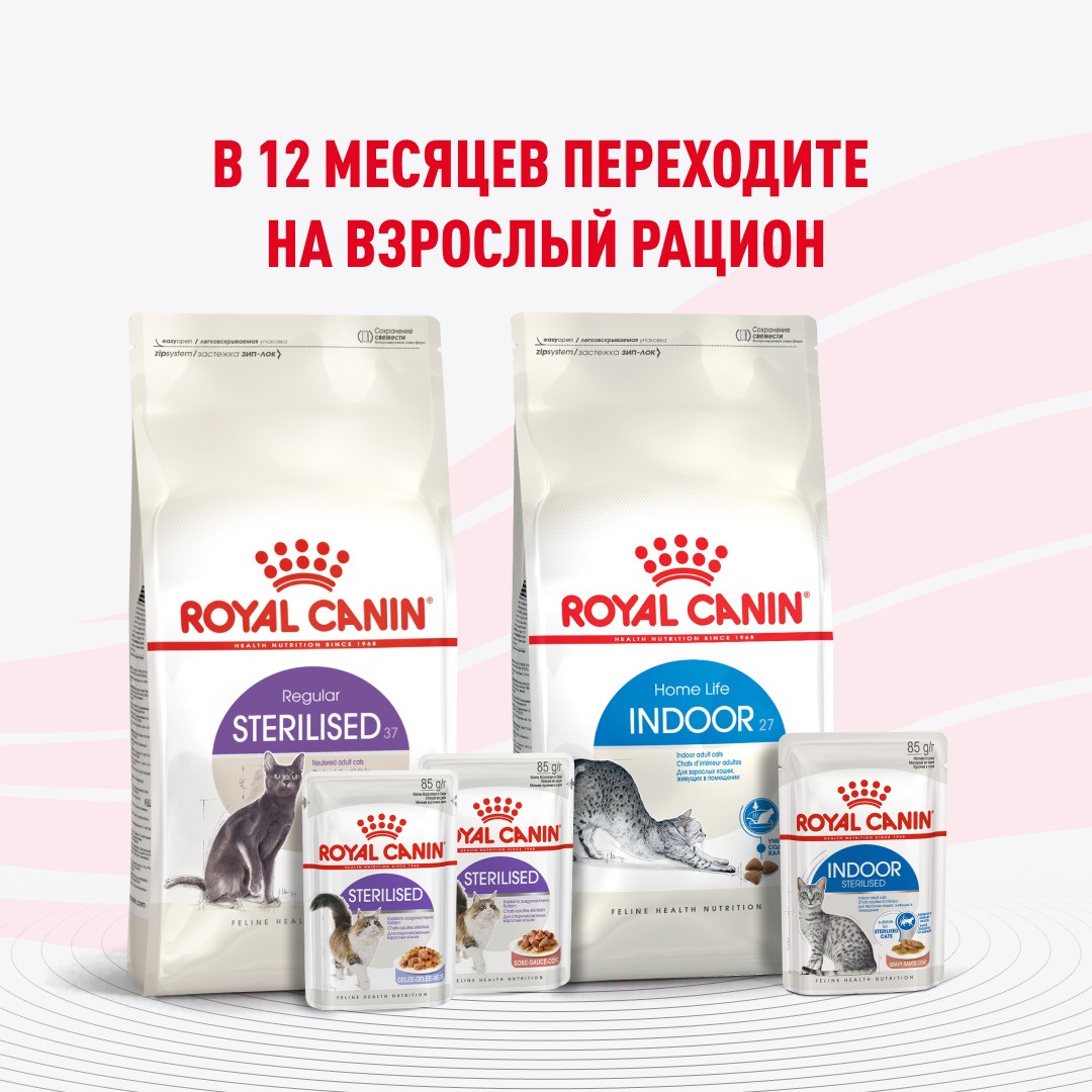 Корм для котят ROYAL CANIN Kitten Sterilised для стерилизованных от 6 мес., кусочки в соусе пауч