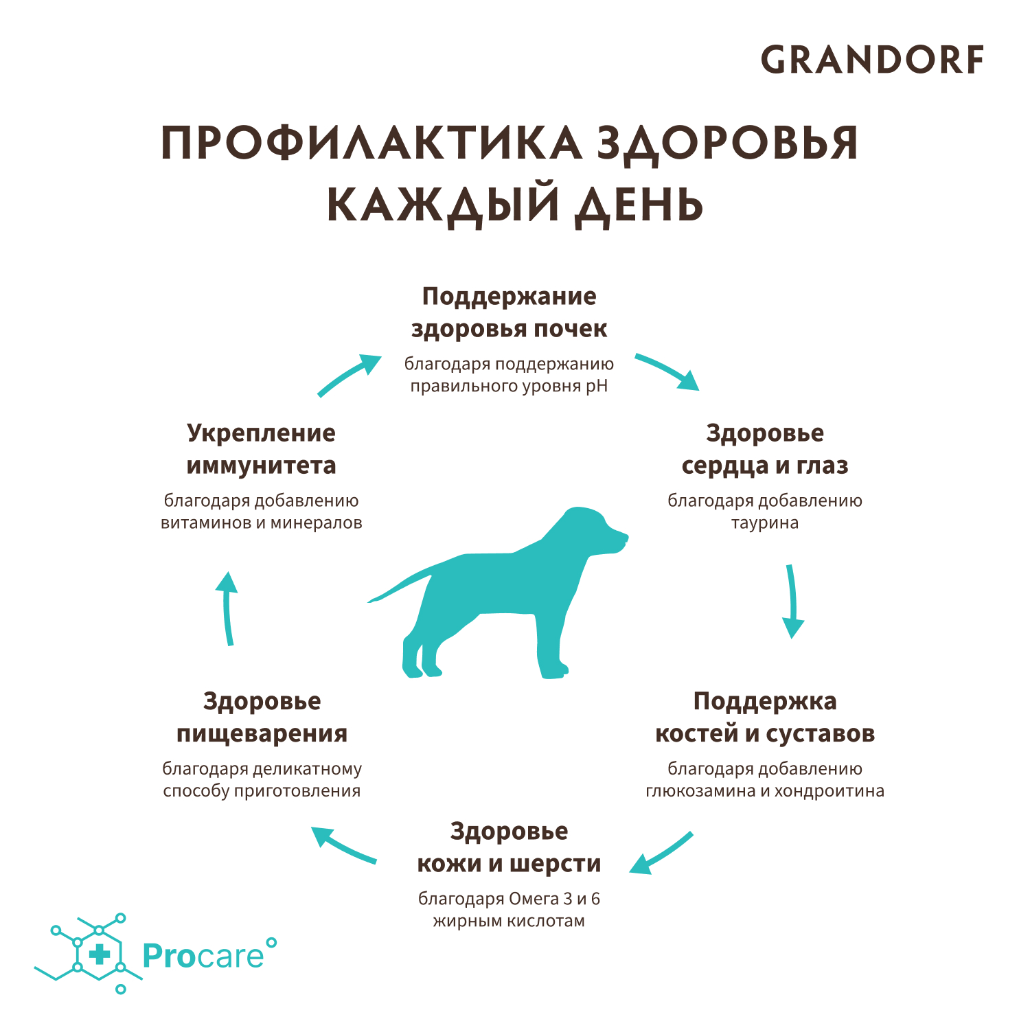 Корм для молодых собак GRANDORF для средних и крупных пород, ягненок с индейкой сух.