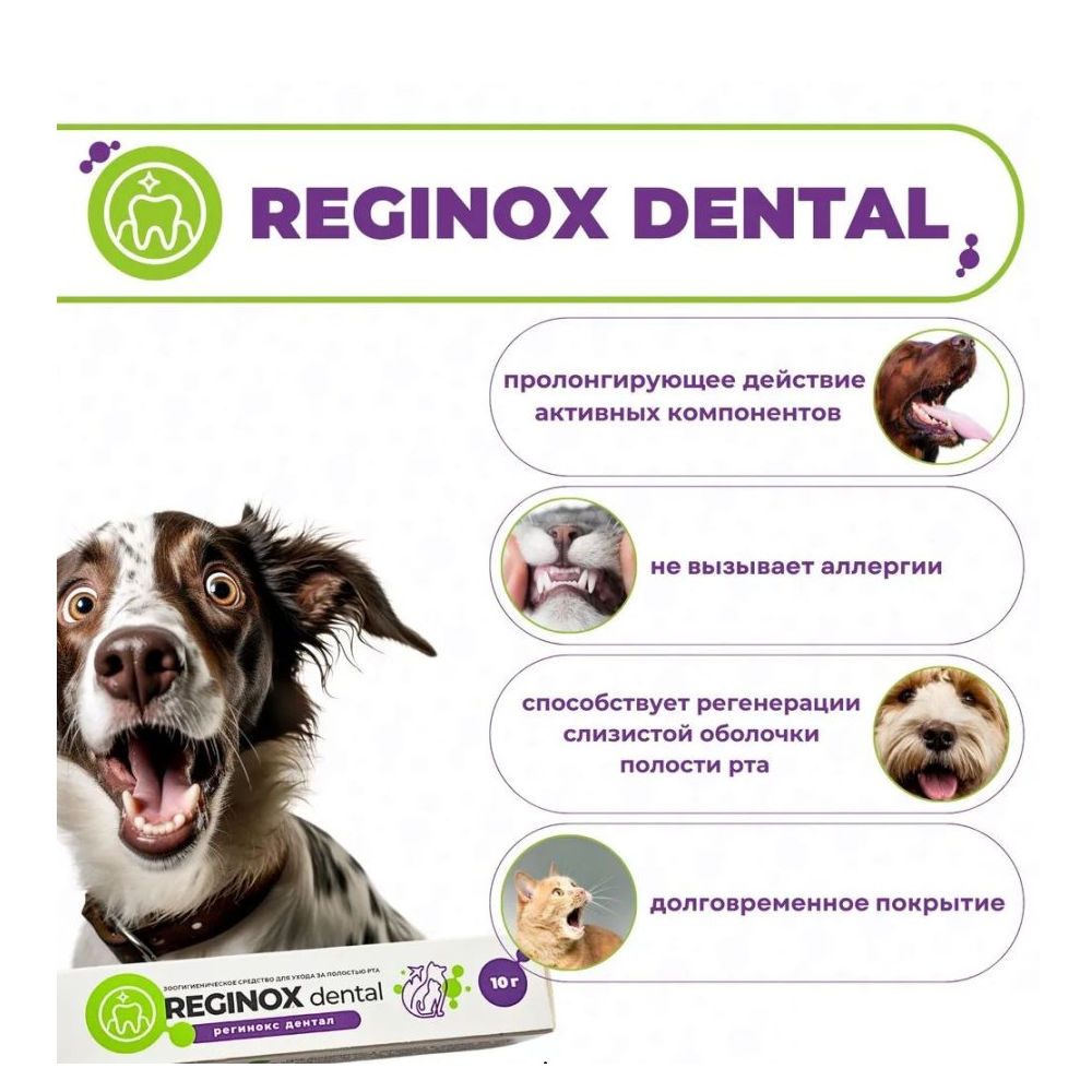 Гель стоматологический REGINOX, с хлоргексидином, 10г