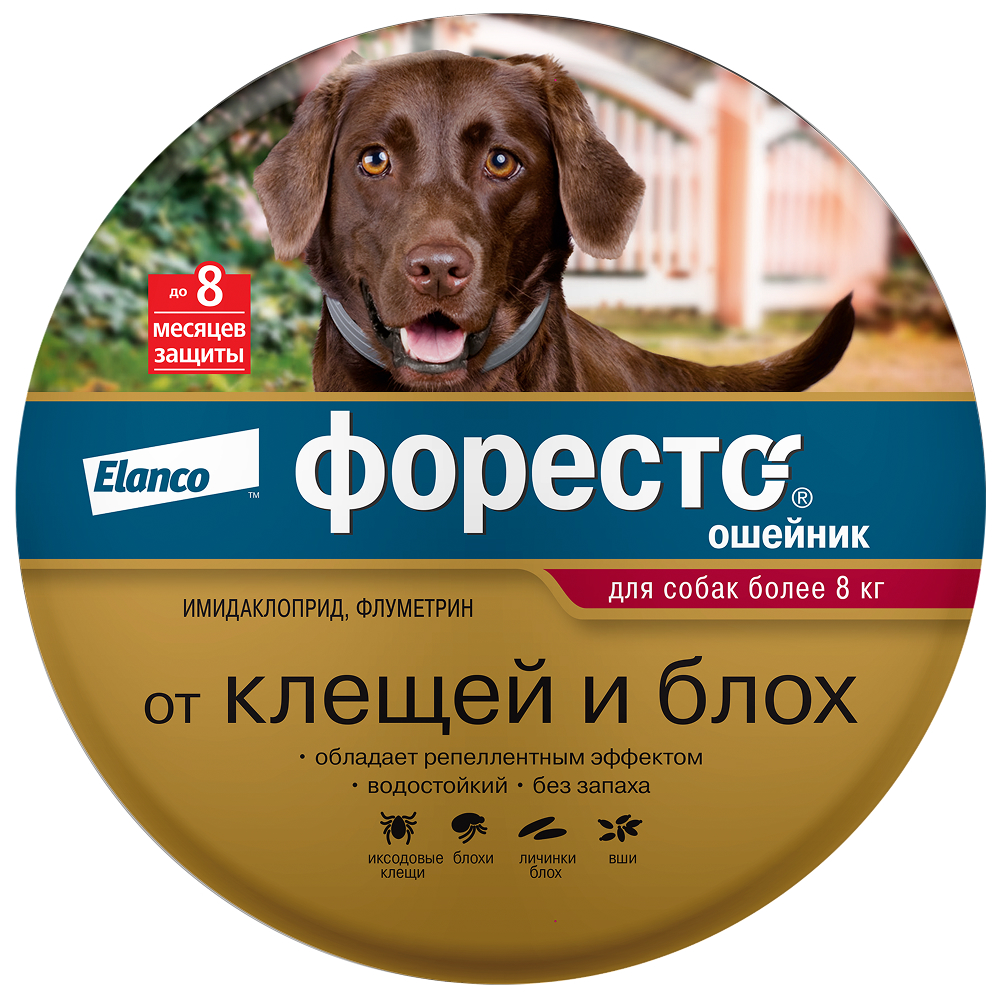 Ошейник для собак ELANCO Форесто от 8кг от клещей, блох и вшей, защита 8 месяцев 70см