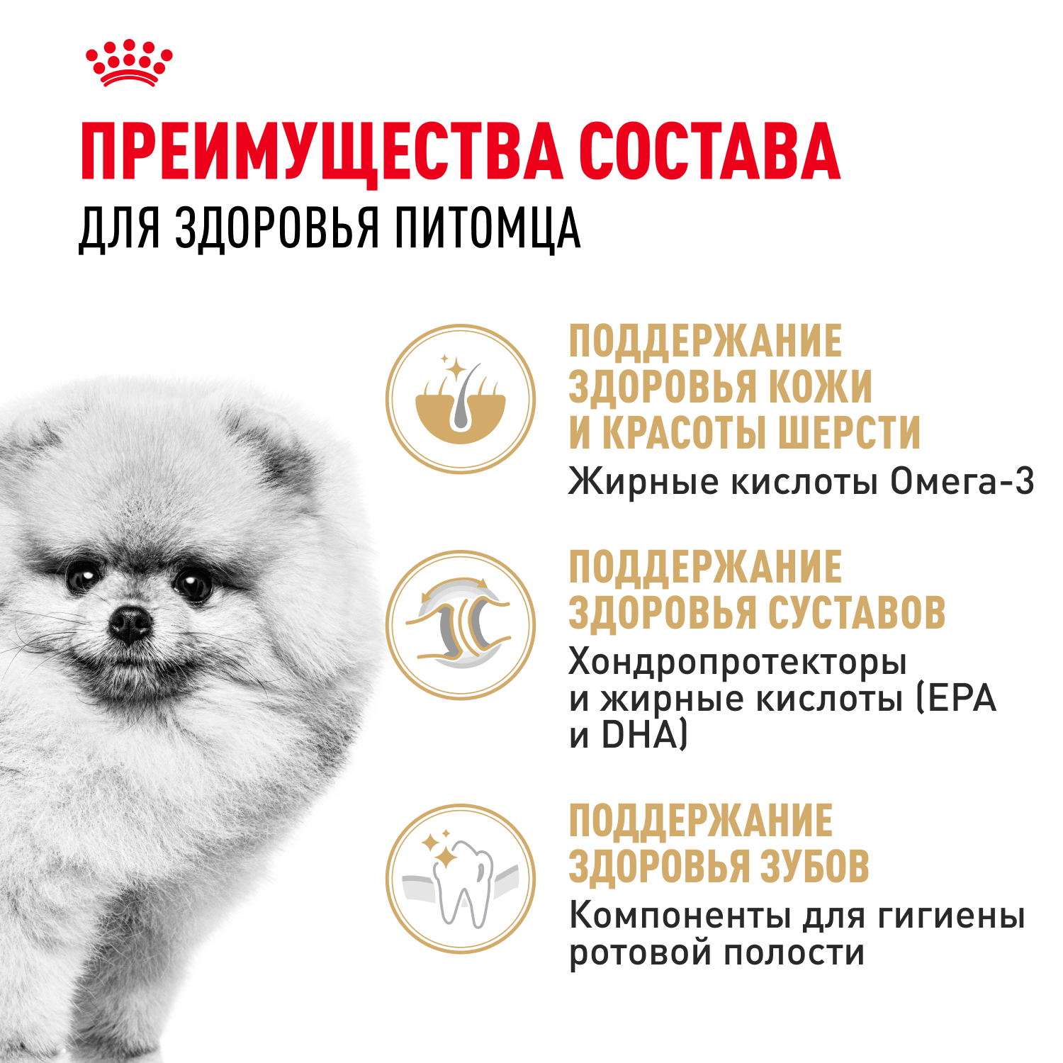 Корм для собак ROYAL CANIN Pomeranian для породы Померанский шпиц старше 8 месяцев сух.
