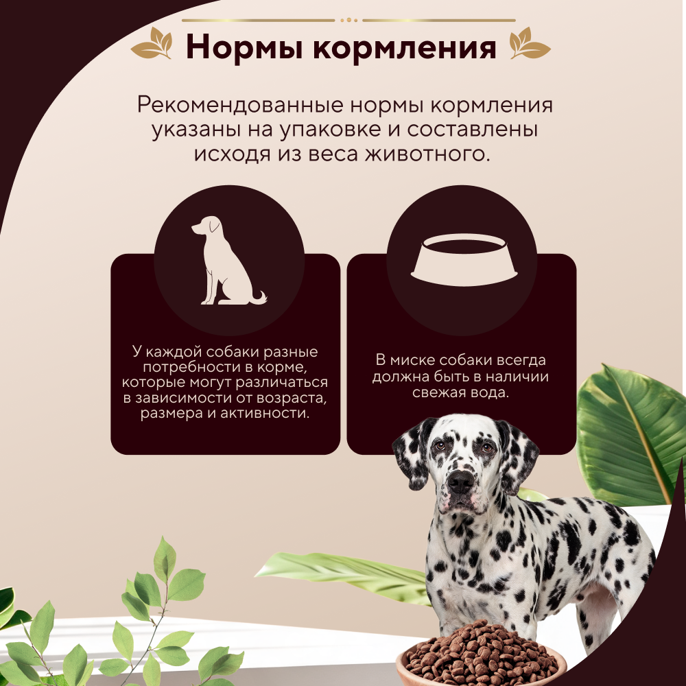 Корм для собак PRO DOG для крупных пород с чувствительным пищеварением, ягненок сух.