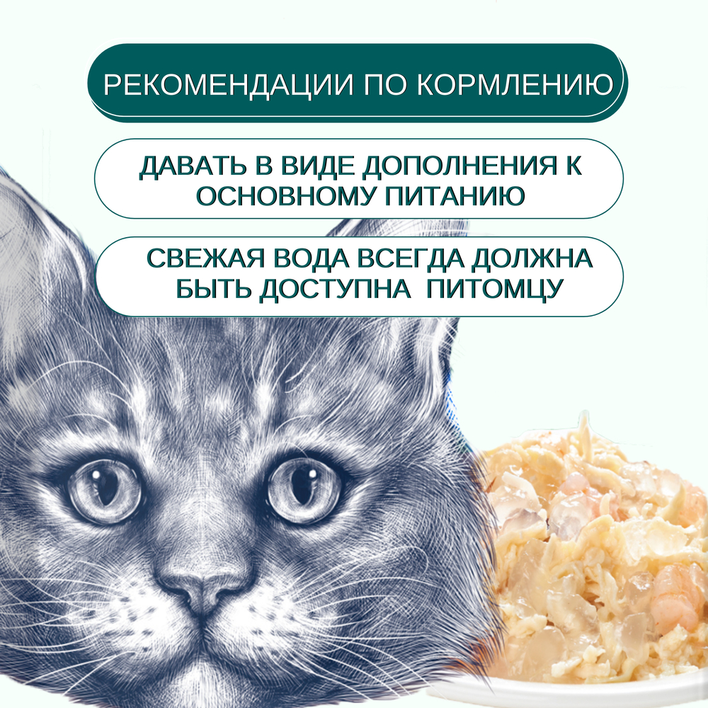 Корм для кошек WANPY Cat курица с гребешком пауч