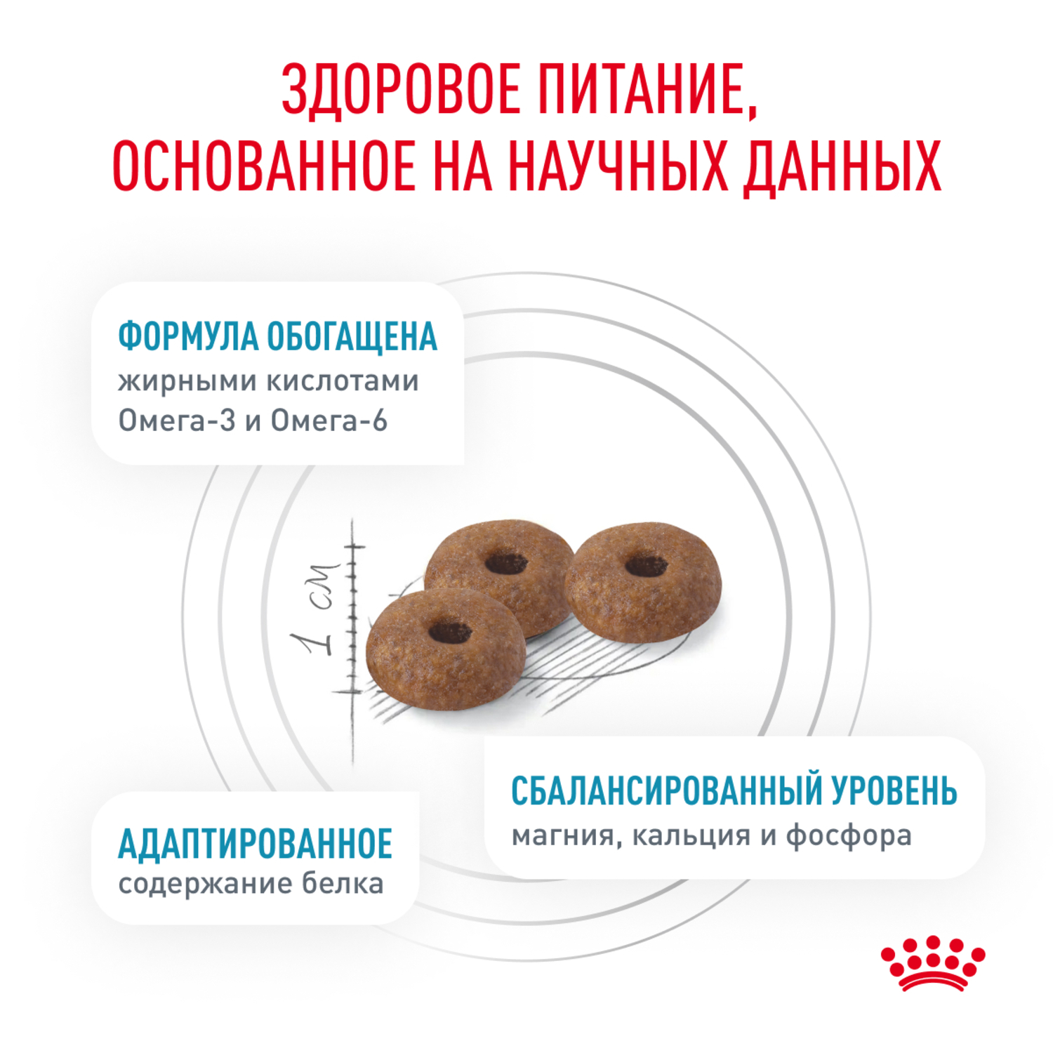 Корм для кошек ROYAL CANIN Skin & Coat для поддержания защитных функций кожи сух.