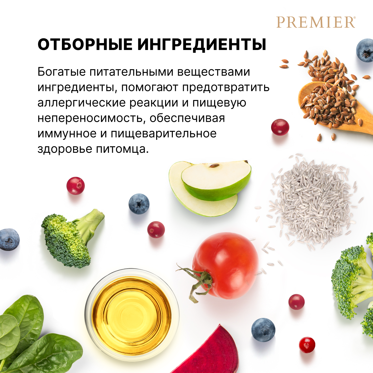 Корм для собак PREMIER Dog для мелких пород, свежее мясо индейки сух.