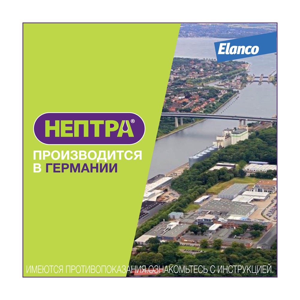 Раствор для собак ELANCO Нептра для лечения отита 2 пипетки 1мл (рецепт)