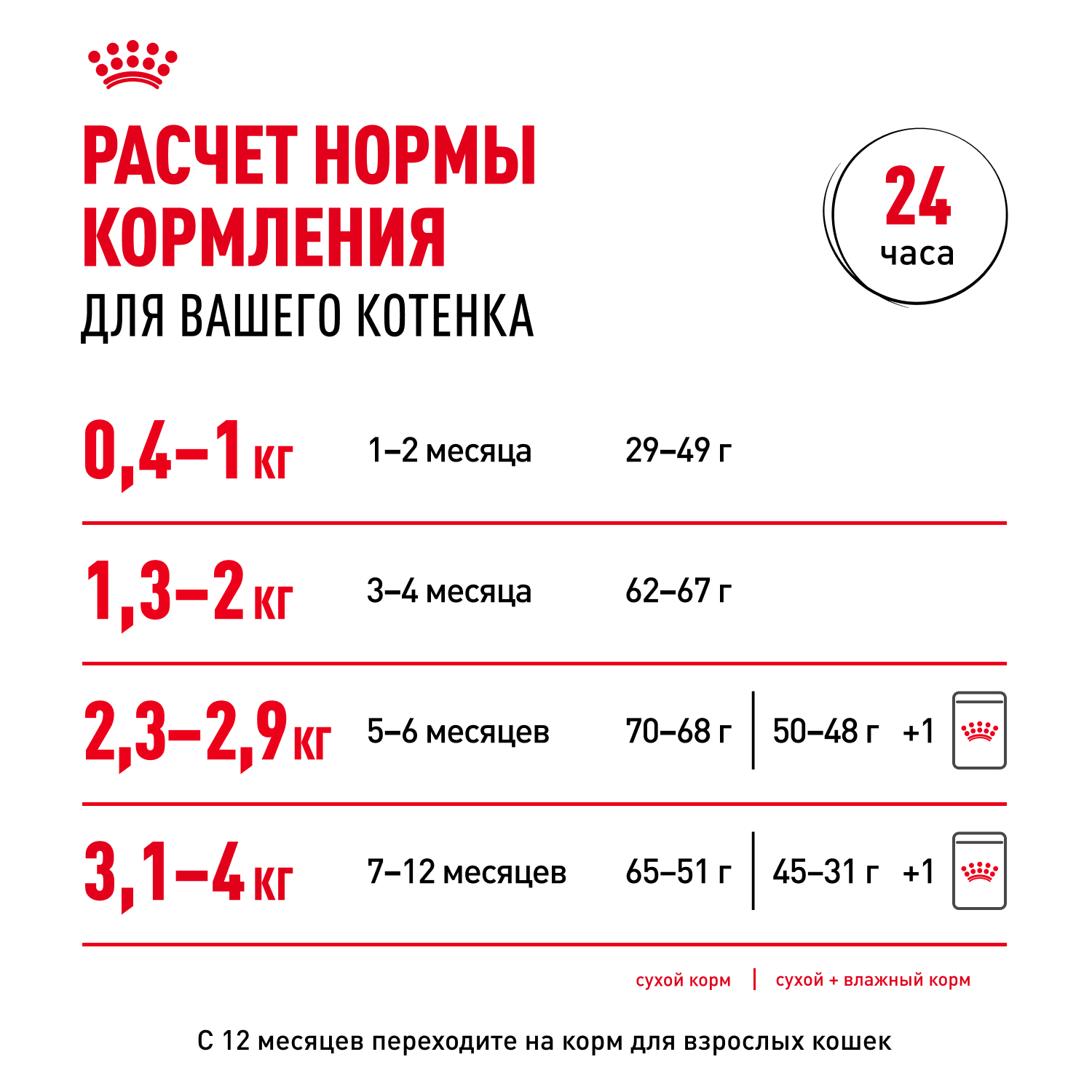 Корм для котят ROYAL CANIN в период третьей фазы роста, мясо в желе пауч