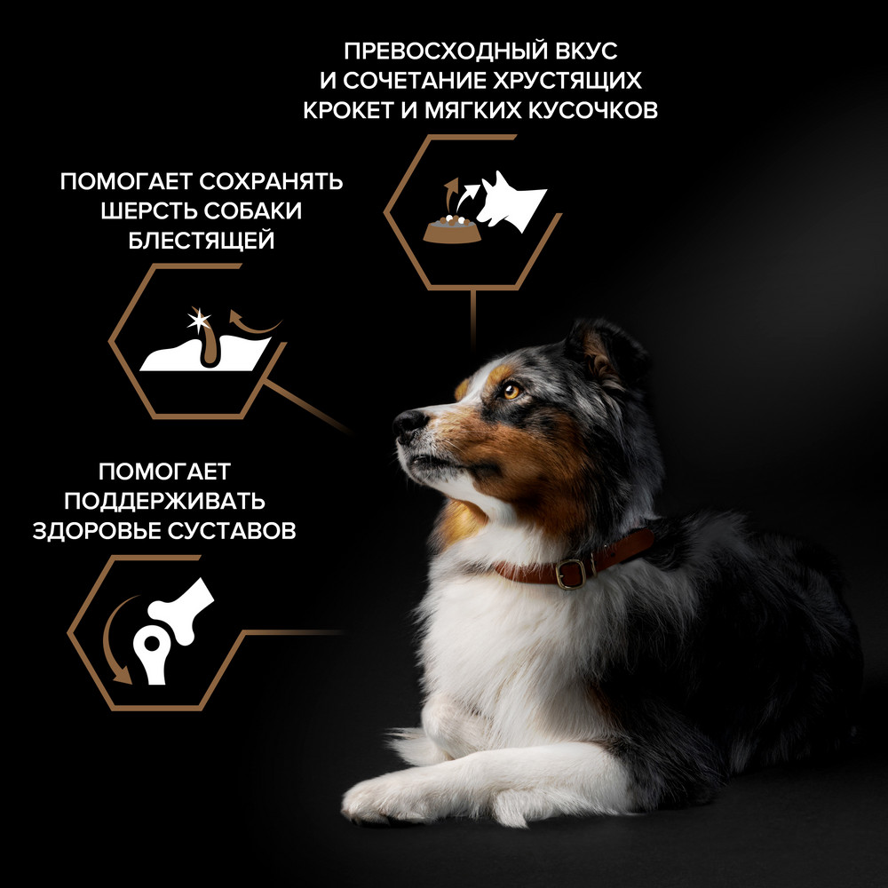 Корм для собак PRO PLAN Duo delice для средних и крупных пород, с говядиной сух.