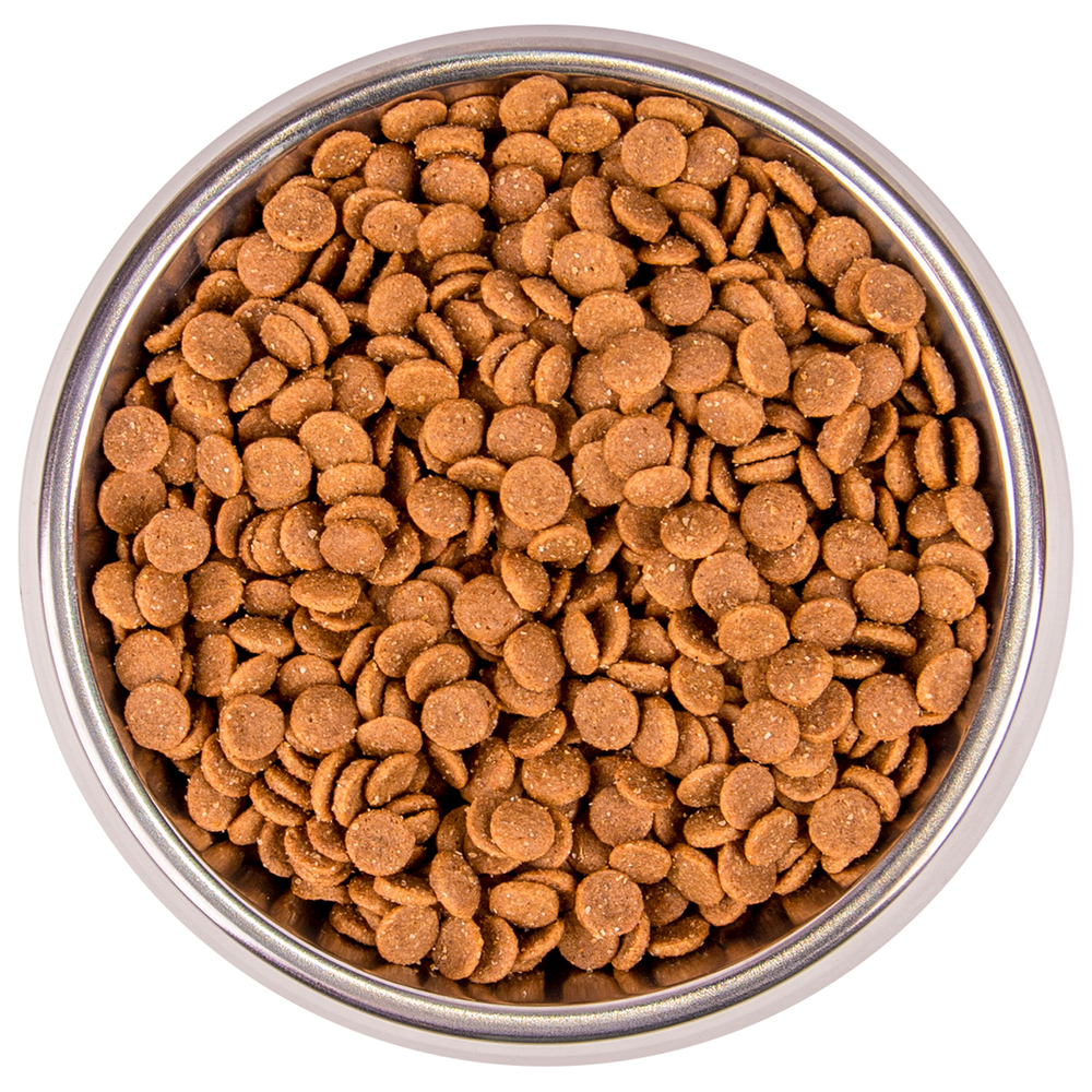 Корм для котят MONGE Cat BWild Low Grain мясо гуся сух.