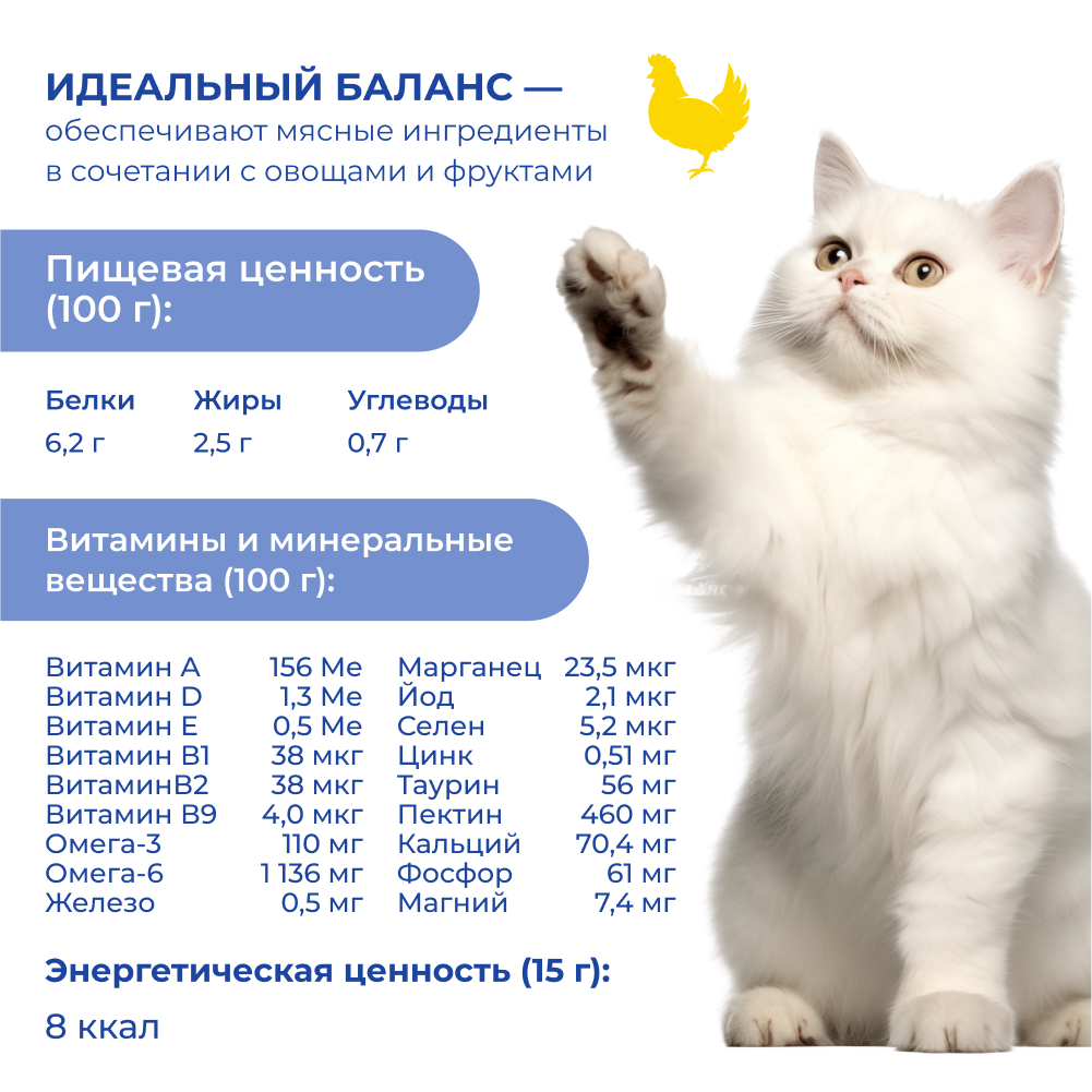 Лакомство для кошек и котят JARVI крем-суп с филе курицы