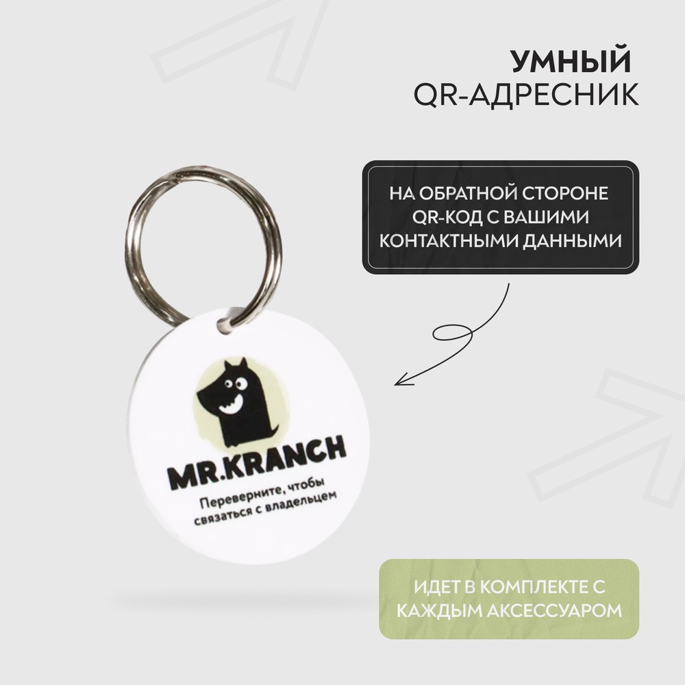 Ошейник для собак MR.KRANCH из натуральной кожи с QR-адресником, нежно-зеленый 33-40см