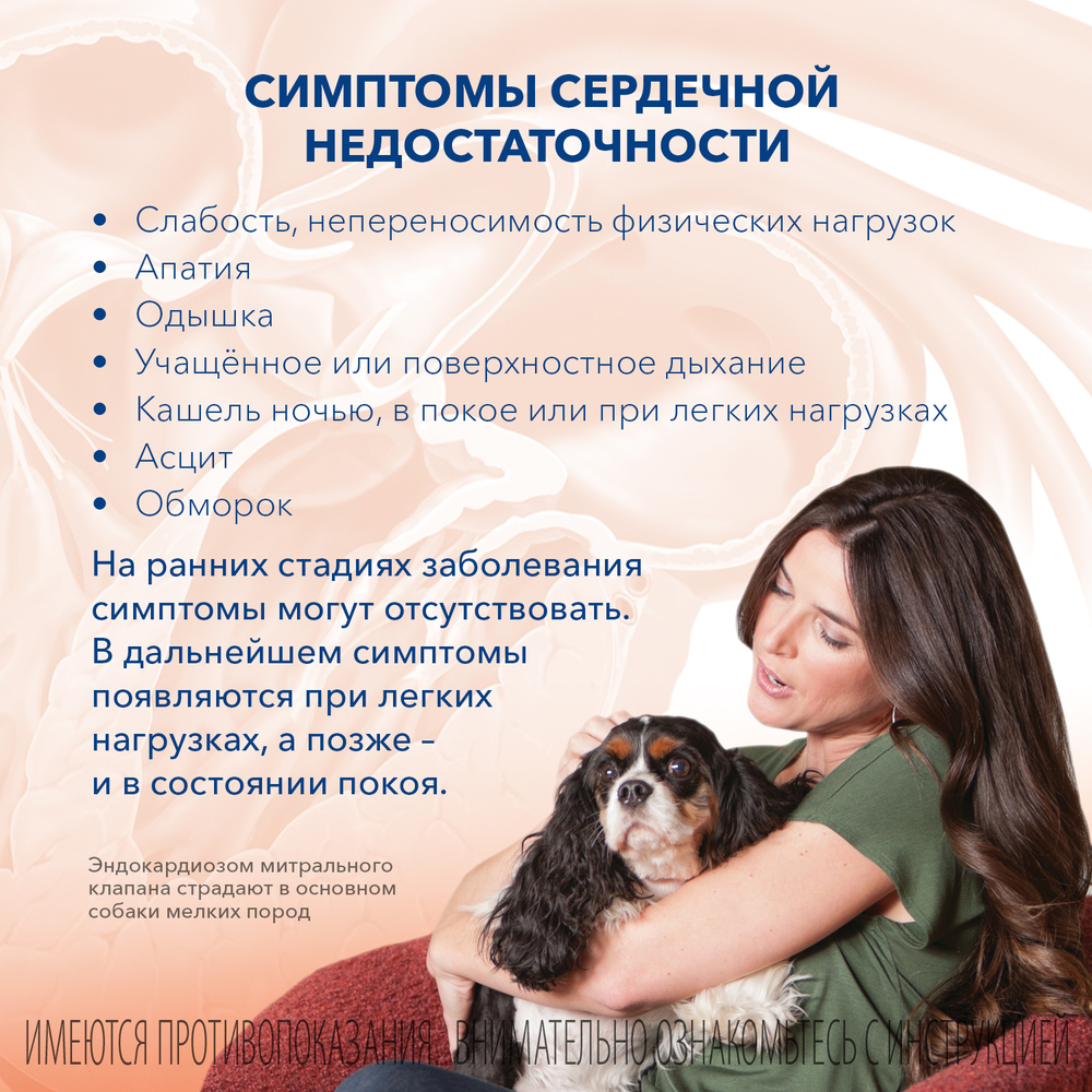 Таблетки жевательные BOEHRINGER INGELHEIM Ветмедин 10,0мг 50таб