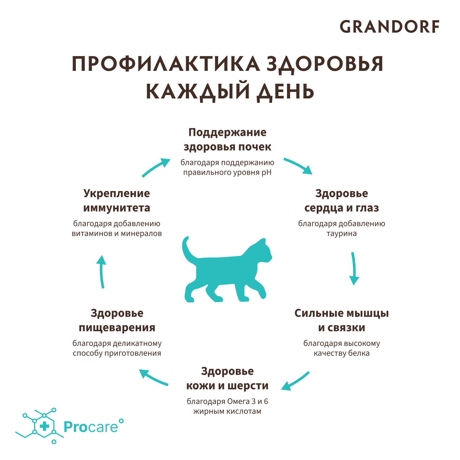 Корм для котят GRANDORF Ягненок с индейкой сух.