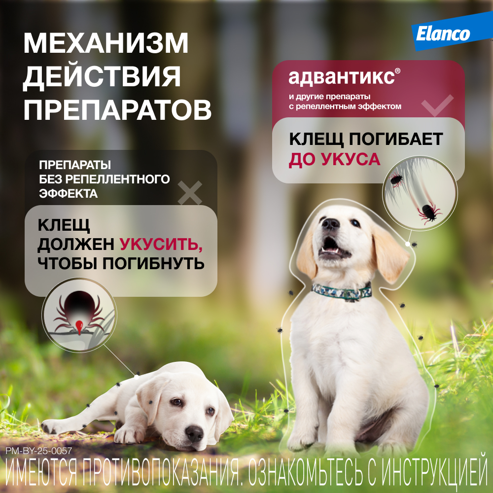Капли для собак ELANCO Адвантикс от блох, клещей и комаров 600 (40-60кг веса) 1 пипетка в упак.