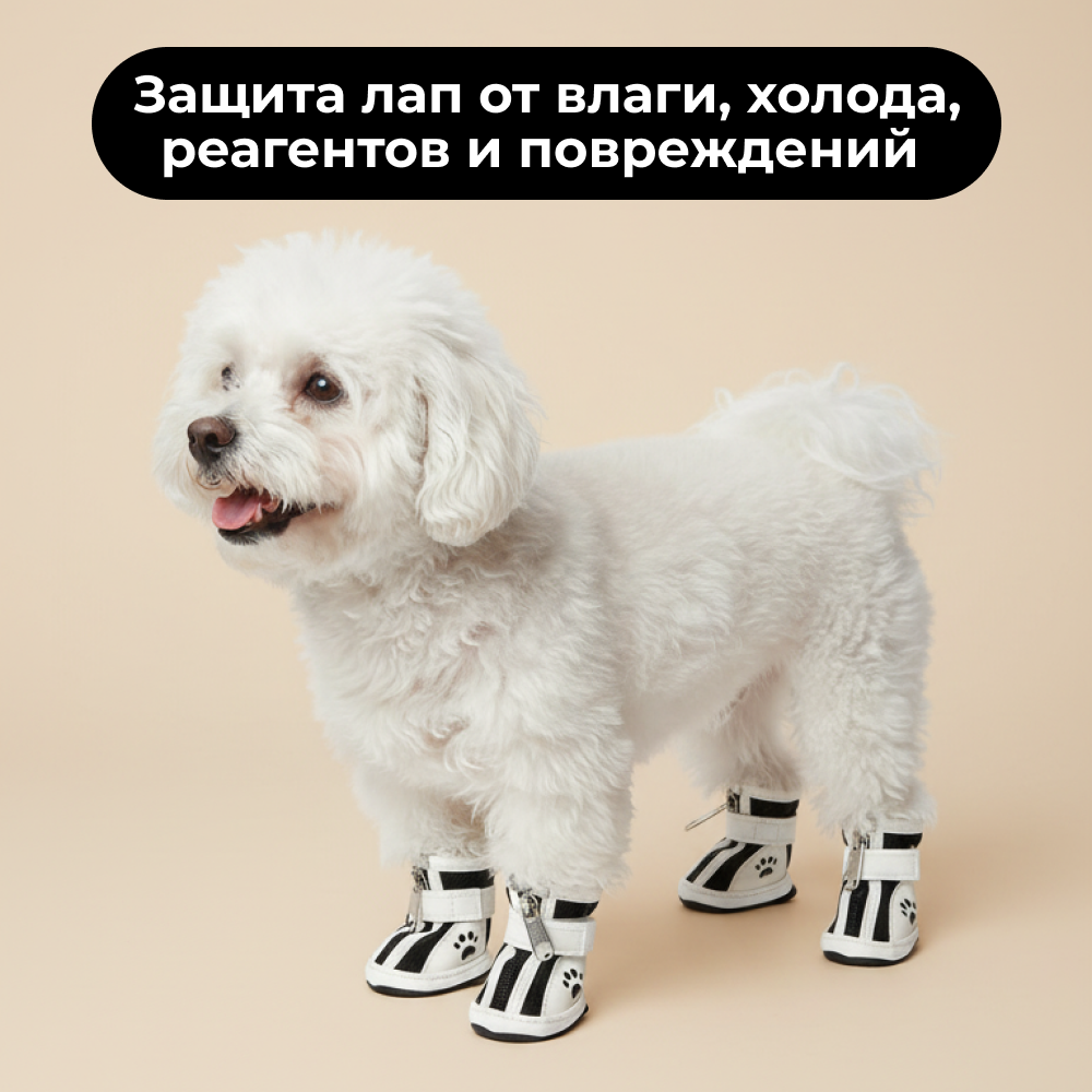 Ботинки для собак FOXIE Paws M 5,6х4см черные